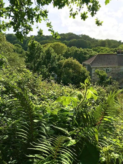 Cosy Retreat In Beautiful Cornwall Хелстон Экстерьер фото